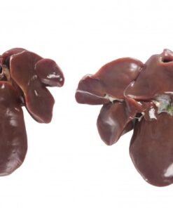 Buy Frozen Chicken Liver online