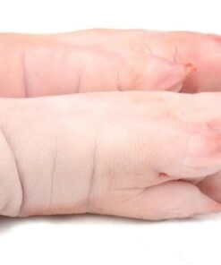 Buy Frozen Pork feet front and hind online